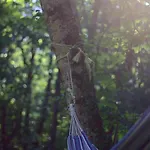 La Casa Nel Bosco-senza Auto * Ponte della Venturina