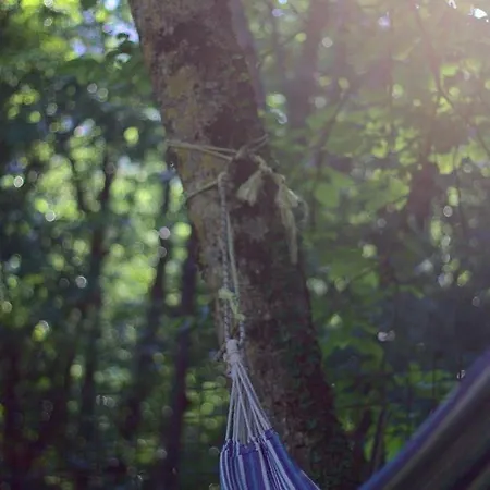 La Casa Nel Bosco-senza Auto * Ponte della Venturina