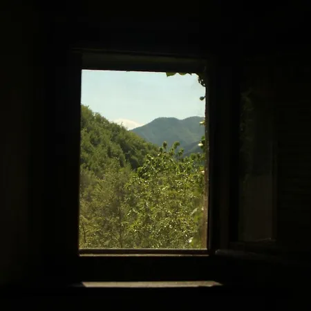 La Casa Nel Bosco-senza Auto Casa di campagna *