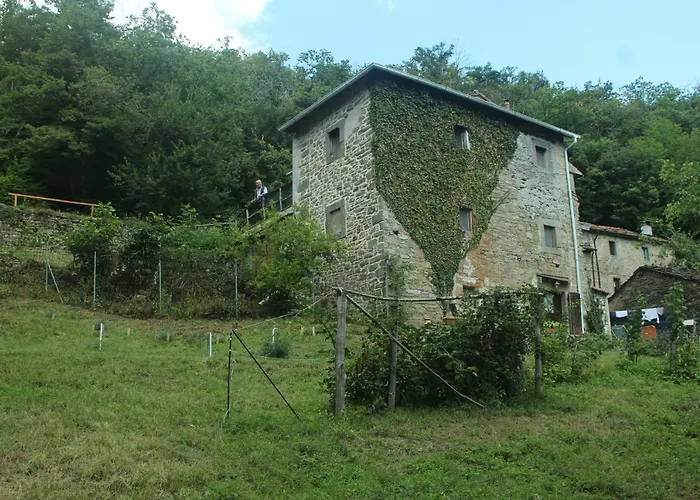 Casa de Campo La Casa Nel Bosco-senza Auto